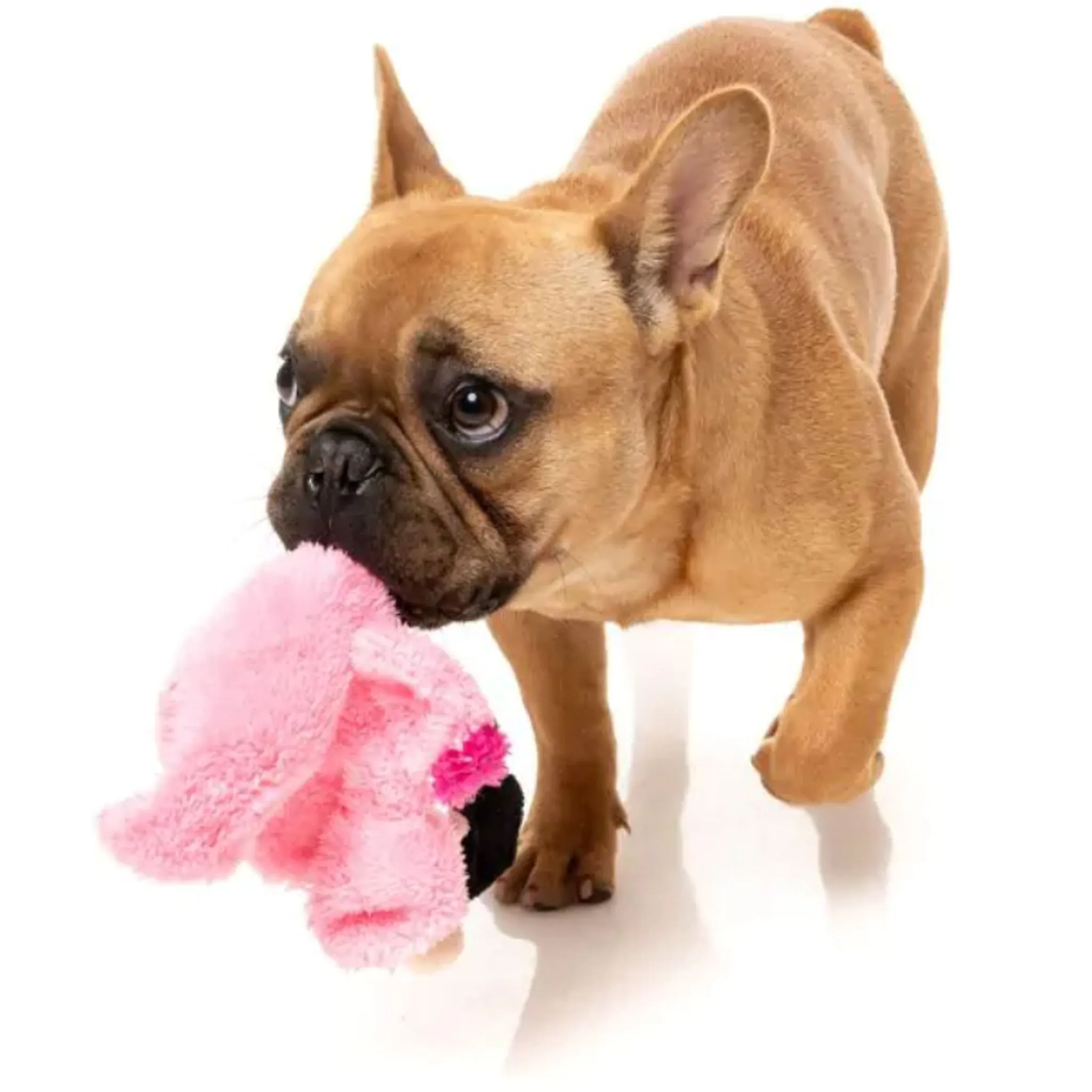 Fuzzyard Flat Out Flo Flamingo Dog Toy